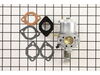 Carburetor – Part Number: 715671