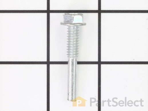 10013150-1-M-Briggs and Stratton-7900073YP-Bolt, Drag Shield, 1/4-20 X 1-