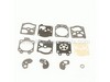 Gasket Diaphragm Repair Kit (Walbro) – Part Number: 791-182521