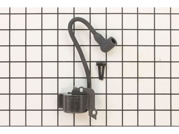 10014568-1-M-Ryobi-791-182725-Ignition Module with Screws