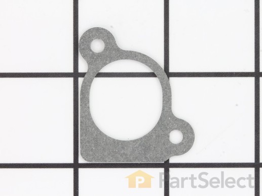 10015028-1-M-Briggs and Stratton-796704-Gasket-Intake