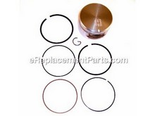Piston Assembly – Part Number: 799063
