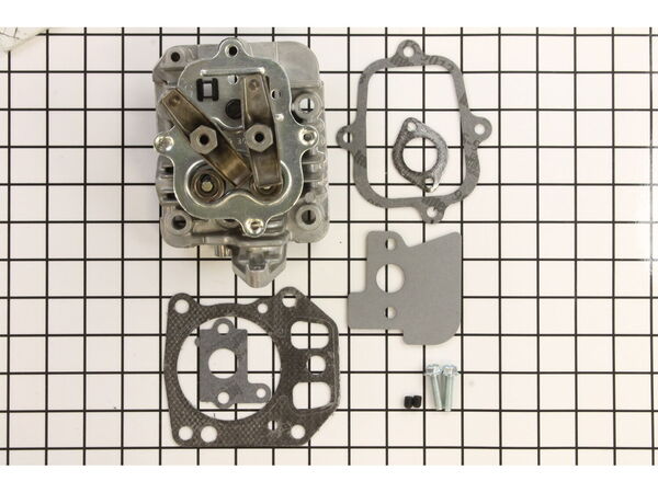 10015114-1-M-Briggs and Stratton-799072-Head-Cylinder
