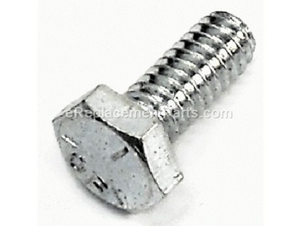 10015604-1-M-Homelite-80049-Screw