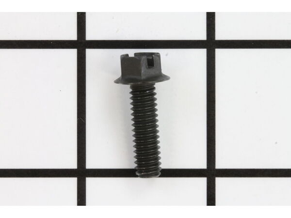 10016531-1-M-Homelite-80867-screw
