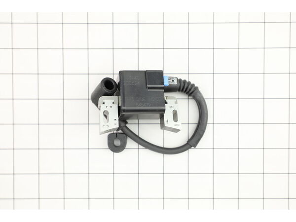 10017689-1-M-Briggs and Stratton-845875-Coil-ignition