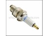 Spark Plug-bp6hs (ngk) – Part Number: 9.172-339.0