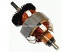 Motor Assy – Part Number: 90519152
