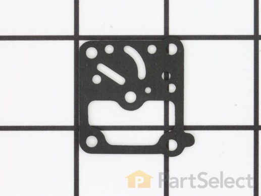 10024369-1-M-Walbro-92-250-8-Gasket Pump