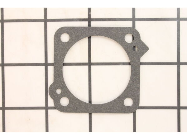 10024386-1-M-Walbro-92-332-8-Gasket Pump Body