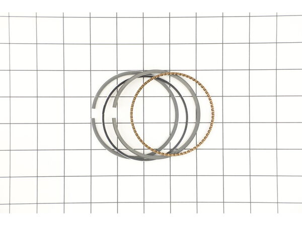 10034996-1-M-MTD-951-12579-Piston Ring Kit