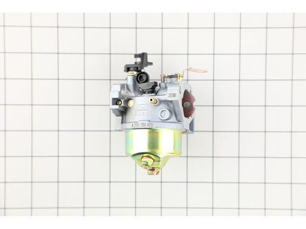 10035050-1-M-MTD-951-14024A-Carburetor Asm-prmr Hy-1