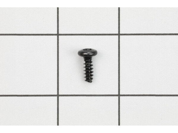 10037237-1-M-Homelite-983645005-Screw (M4)