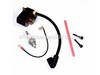 Ignition Kit – Part Number: 984873001