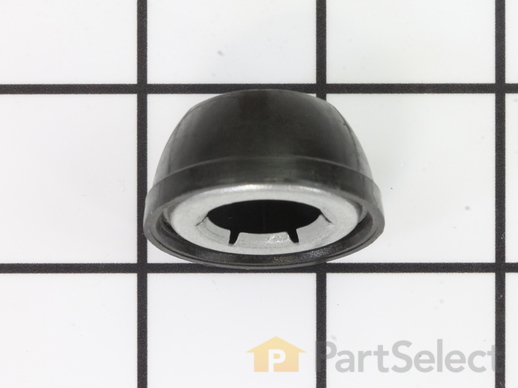 10037607-1-M-Ryobi-985648001-Push Cap