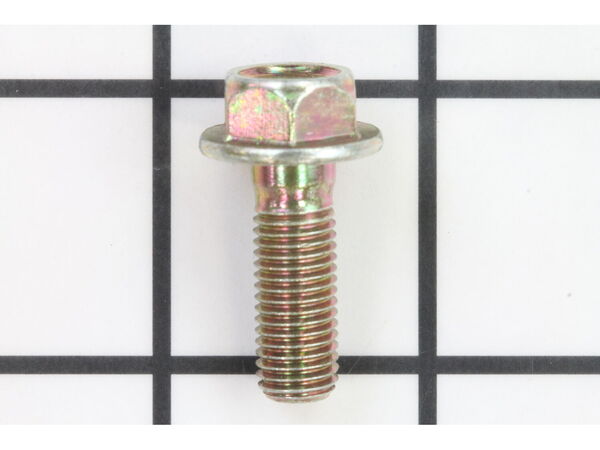10037612-1-M-Homelite-985661001-Bolt (5/16 In.)