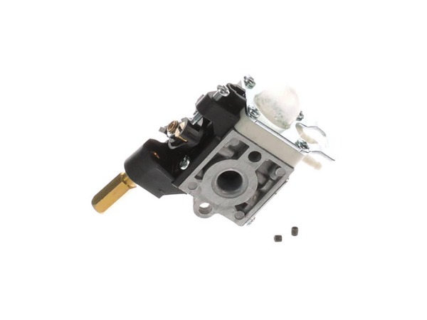 10039106-1-M-Echo-A021000723-Carburetor