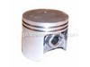 Piston – Part Number: A100000670