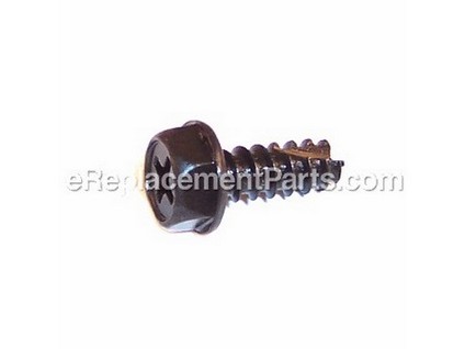 10039773-1-M-Homelite-A100575-Screw, ST4.8x12