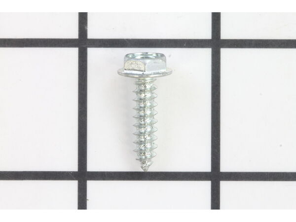 10039775-1-M-Homelite-A100576-Screw, #10-16x.75