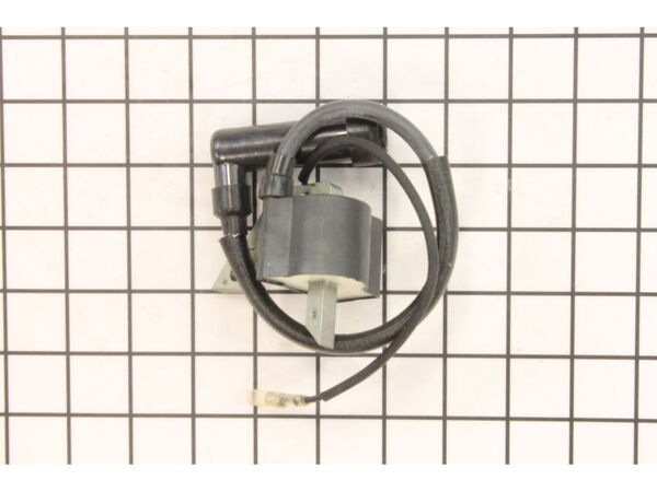 10039830-1-M-Homelite-A100634-Ignition Coil