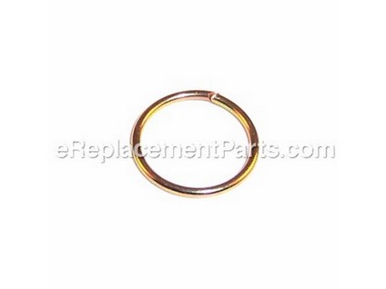 10039916-1-M-Homelite-A100693-Circlip
