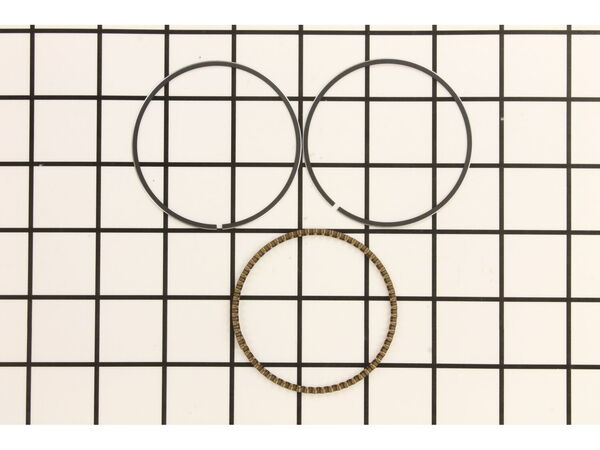 10040019-1-M-Powermate-A100826-Piston Ring Assembly