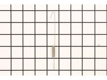 Spring 1, Tension – Part Number: A101246