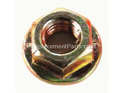 10040615-1-M-Homelite-A200028-Nut, M6
