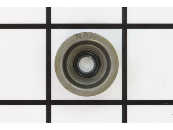 10040651-1-M-Homelite-A200053-Inlet Valve Oil Seal Assy