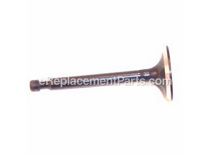 10040653-1-M-Homelite-A200054-Exhaust Valve