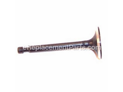10040657-1-M-Homelite-A200056-Inlet Valve
