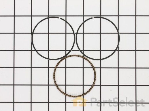 10040745-1-M-Homelite-A200109-Oil Ring