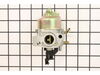 Carburetor – Part Number: A200196