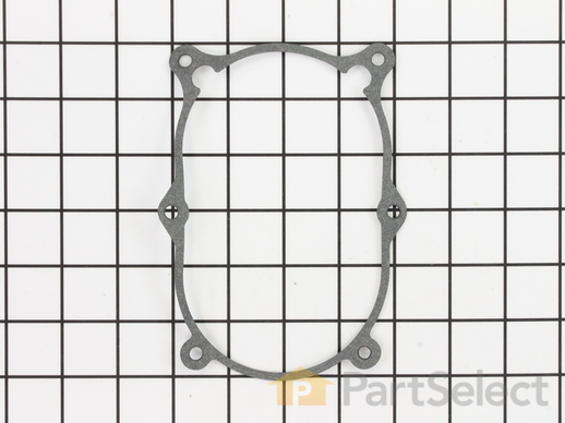 10041194-1-M-Southland-A201166-Gasket