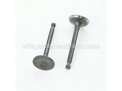 10041258-1-M-Southland-A201468-Set, Valve