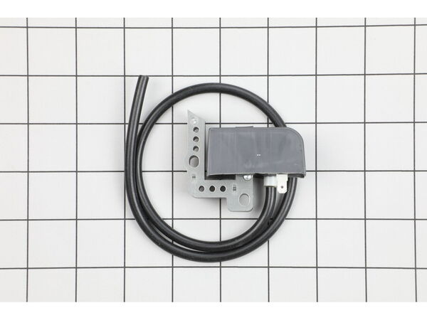 10041526-1-M-Echo-A415000001-Cdi Ignition Module