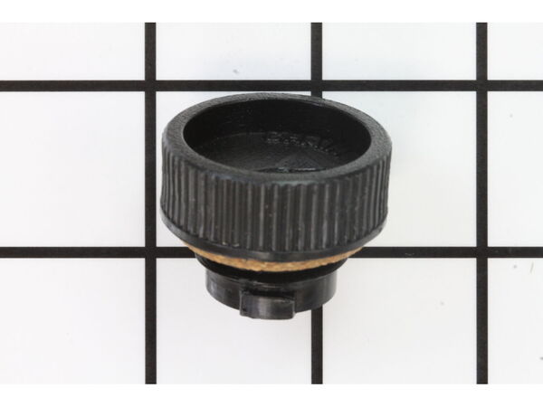 10042083-1-M-Homelite-A95207-Cap - Oil