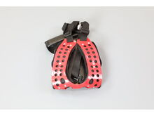 Harness Assembly – Part Number: C062000430
