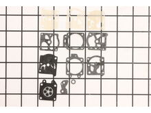 Gasket Diaphragm Kit – Part Number: D20-WAT