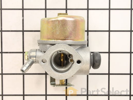 10044533-1-M-Craftsman-DP21203-Carburetor