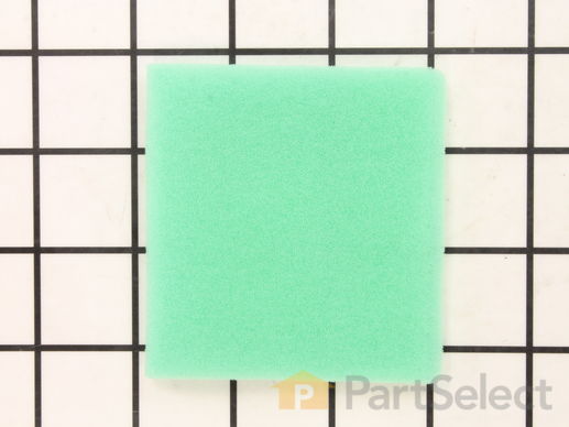 10044598-1-M-Craftsman-DP78602-Filter