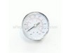 Regulator Gauge – Part Number: FP200345AV
