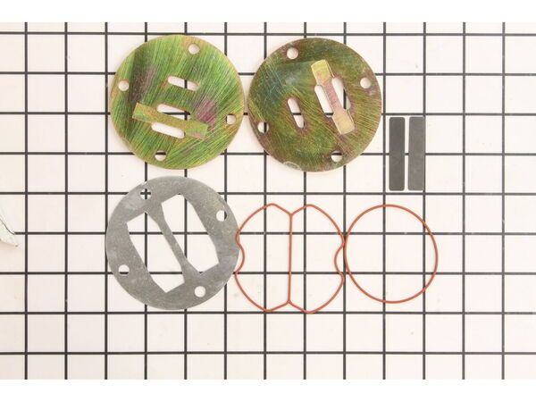 10046969-1-M-Campbell Hausfeld-HG001600AV-Valve Plate Kit