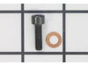 Oil Drain With O-Ring- M5-1.25 X 10 mm – Part Number: HL012100AV