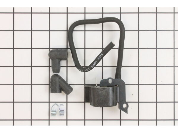 10048634-1-M-Walbro-MA-6-1-Ignition Module Assembly