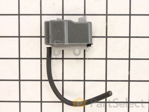 10049366-1-M-Echo-P021036741-Assy, Ignition Coil