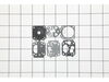 Gasket/diaphragm Kit – Part Number: P050009260