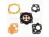 Gasket/diaphragm Kit – Part Number: P050009290