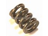 Adjusting Spring – Part Number: PM045600SV